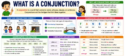 What Is a Conjunction? A Beginner's Guide with Examples