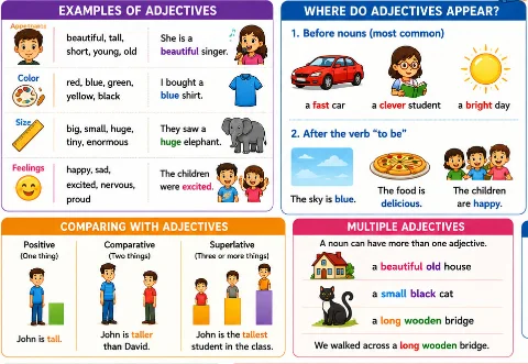 What Is an Adjective? A Beginner's Guide with Examples